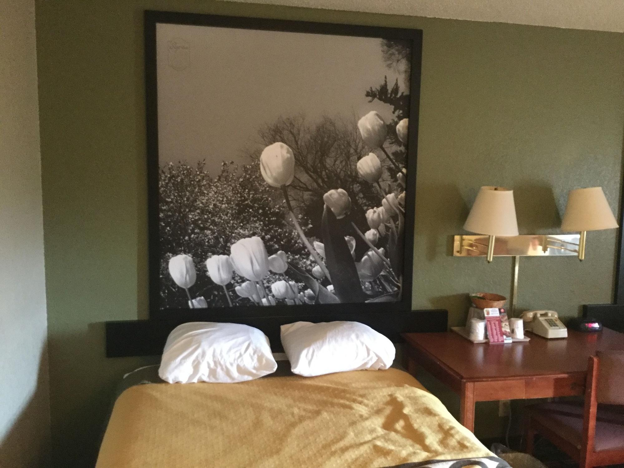 Super 8 By Wyndham Youngstown/Austintown Dış mekan fotoğraf